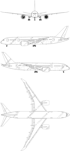 Boeing 787-8 Dreamliner, Dreamliner (2011)