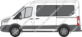 Ford Transit camionnette, actuel (depuis 2019)