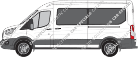 Ford Transit, actual (desde 2019)