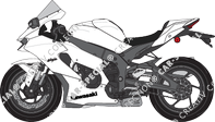 Kawasaki Ninja ZX-10RR, current (since 2021)