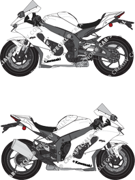 Kawasaki Ninja ZX-10RR,  (2021)