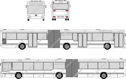 MAN NG 272, low-floor articulated bus