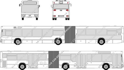 MAN NG 312, low-floor articulated bus