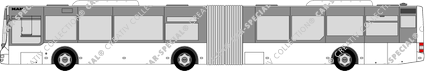MAN Lion's City bus articulé, à partir de 2004
