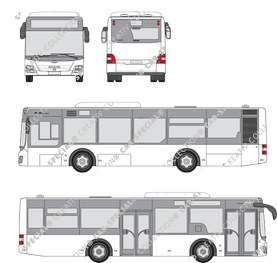 MAN Lion's City Bus, a partire da 2011 (MAN_131)