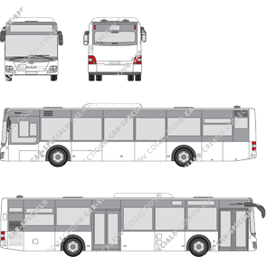 MAN Lion's City 2-2 puertas, 2-2 Türen, bus (2016)