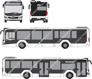 MAN Lion's City bus, actuel (depuis 2019) (MAN_205)