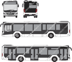 MAN Lion's City bus, actuel (depuis 2019) (MAN_206)
