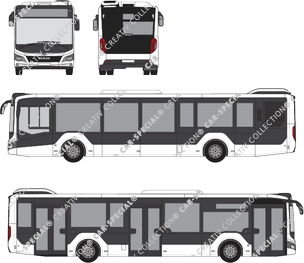 MAN Lion's City 12C, 12C, Bus, 3 Doors (2019)