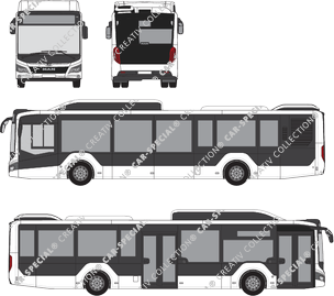 MAN Lion's City bus, current (since 2019) (MAN_207)