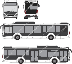 MAN Lion's City bus, actueel (sinds 2019) (MAN_207)