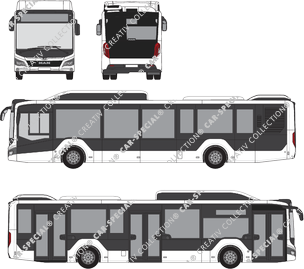 MAN Lion's City bus, current (since 2019) (MAN_208)
