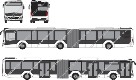 MAN Lion's City articulated bus, current (since 2019) (MAN_209)