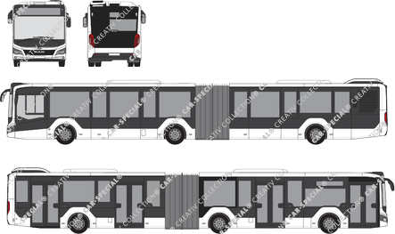 MAN Lion's City 18C, 18C, articulated bus, 4 Doors (2019)