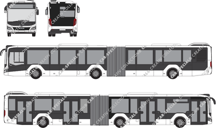 MAN Lion's City articulated bus, current (since 2019) (MAN_210)