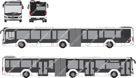 MAN Lion's City 19C, 19C, articulated bus, 3 Doors (2019)