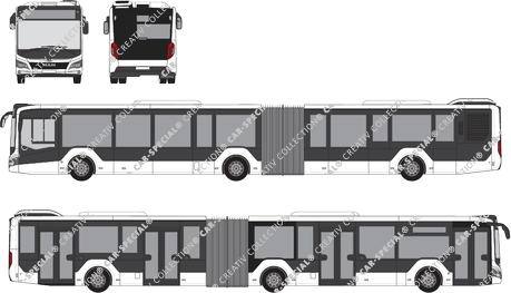 MAN Lion's City 19C, 19C, articulated bus, 4 Doors (2019)