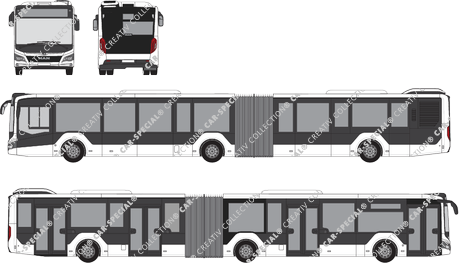 MAN Lion's City 19C, 19C, bus articulé, 4 Doors (2019)