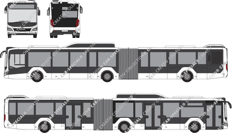 MAN Lion's City 19C CNG, 19C, CNG, articulated bus, 3 Doors (2019)