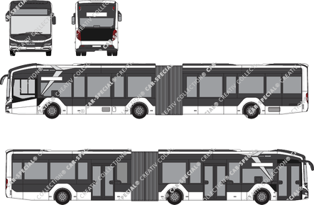 MAN Lion's City articulated bus, current (since 2023) (MAN_249)