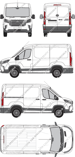 Maxus Deliver 9, van/transporter, L1H1, Rear Wing Doors, 1 Sliding Door (2020)