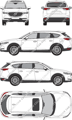 Mazda CX-8, attuale (a partire da 2019) (Mazd_084)