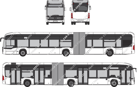 Mercedes-Benz Citaro Gelenkbus, aktuell (seit 2019) (Merc_1013)