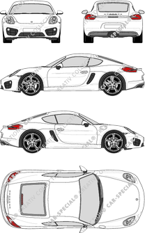 Porsche Cayman Kombicoupé, 2013–2016 (Pors_038)