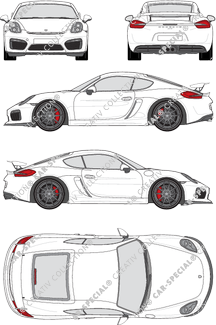 Porsche Cayman Combi coupé, 2015–2016 (Pors_053)