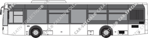 Temsa LF 12 Bus, aktuell (seit 2019)