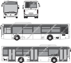 Temsa LF 12 bus, actueel (sinds 2019) (Tems_015)