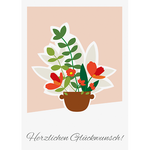 ccvF6_933