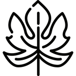 ccvF6_981