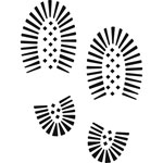 ccvN2_401