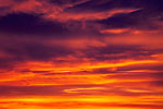 CCP08_0575