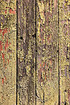 CCP12_0355