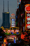 CCP10_0567